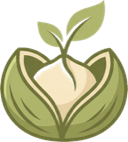 Macadamia